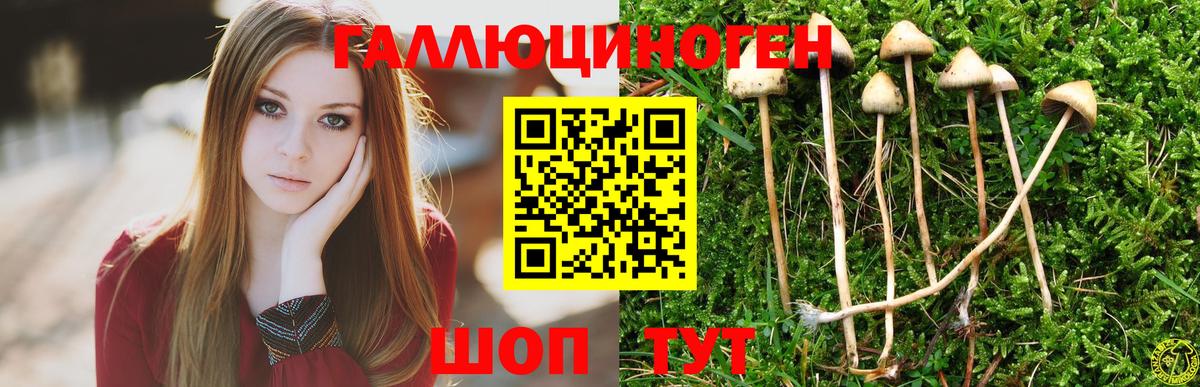 Галлюциногенные грибы мухоморы  Вход с VPN  Ачинск  как найти закладки  Галлюциногенные грибы GOLDEN TEACHER 