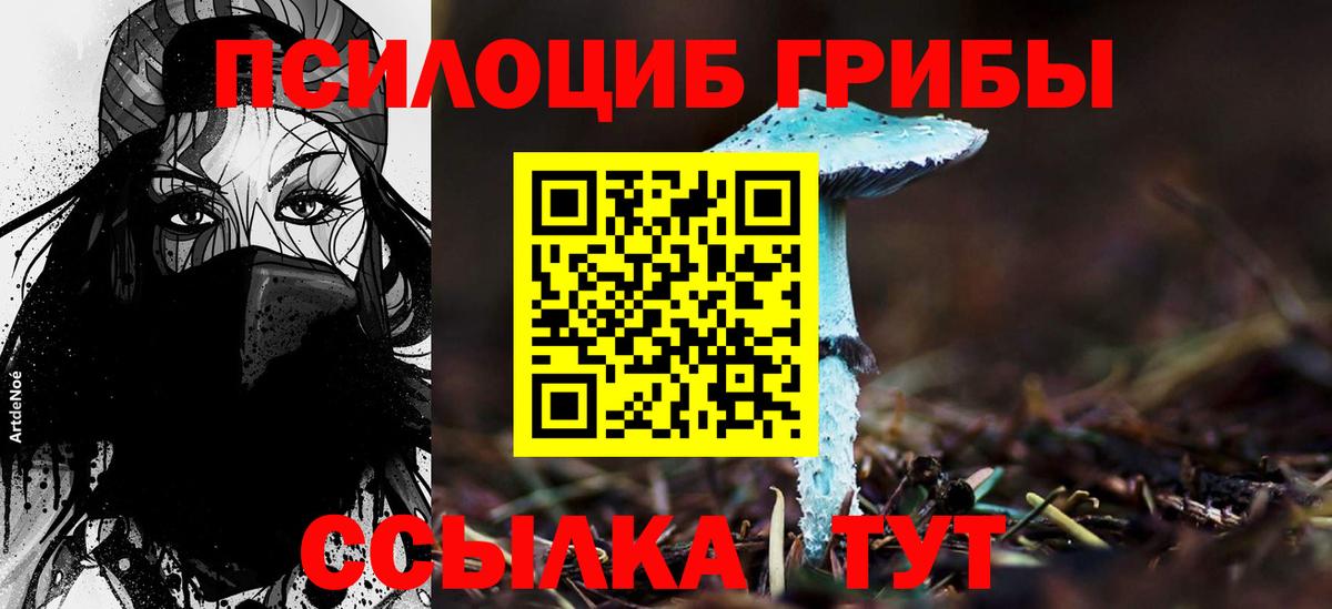 Галлюциногенные грибы Magic Shrooms Ачинск